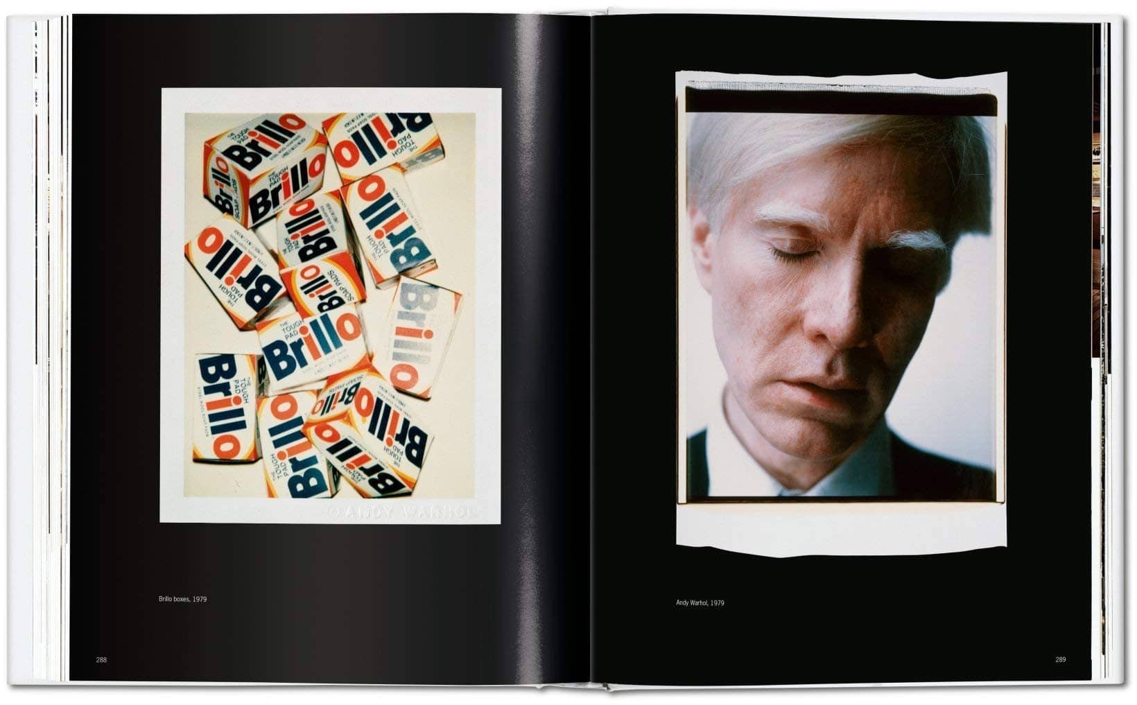 1023-warhol-polaroids-71pcfqzf3pl-1-jpg-71pcfqzf3pl-1