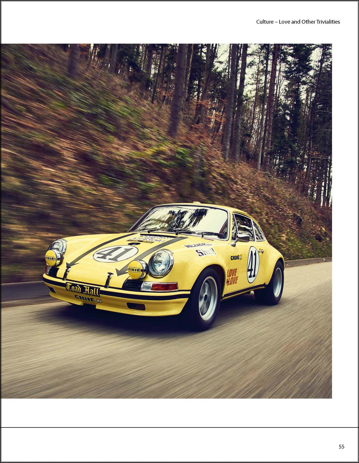 13882-iconicars-porsche-911-819cgzusrll