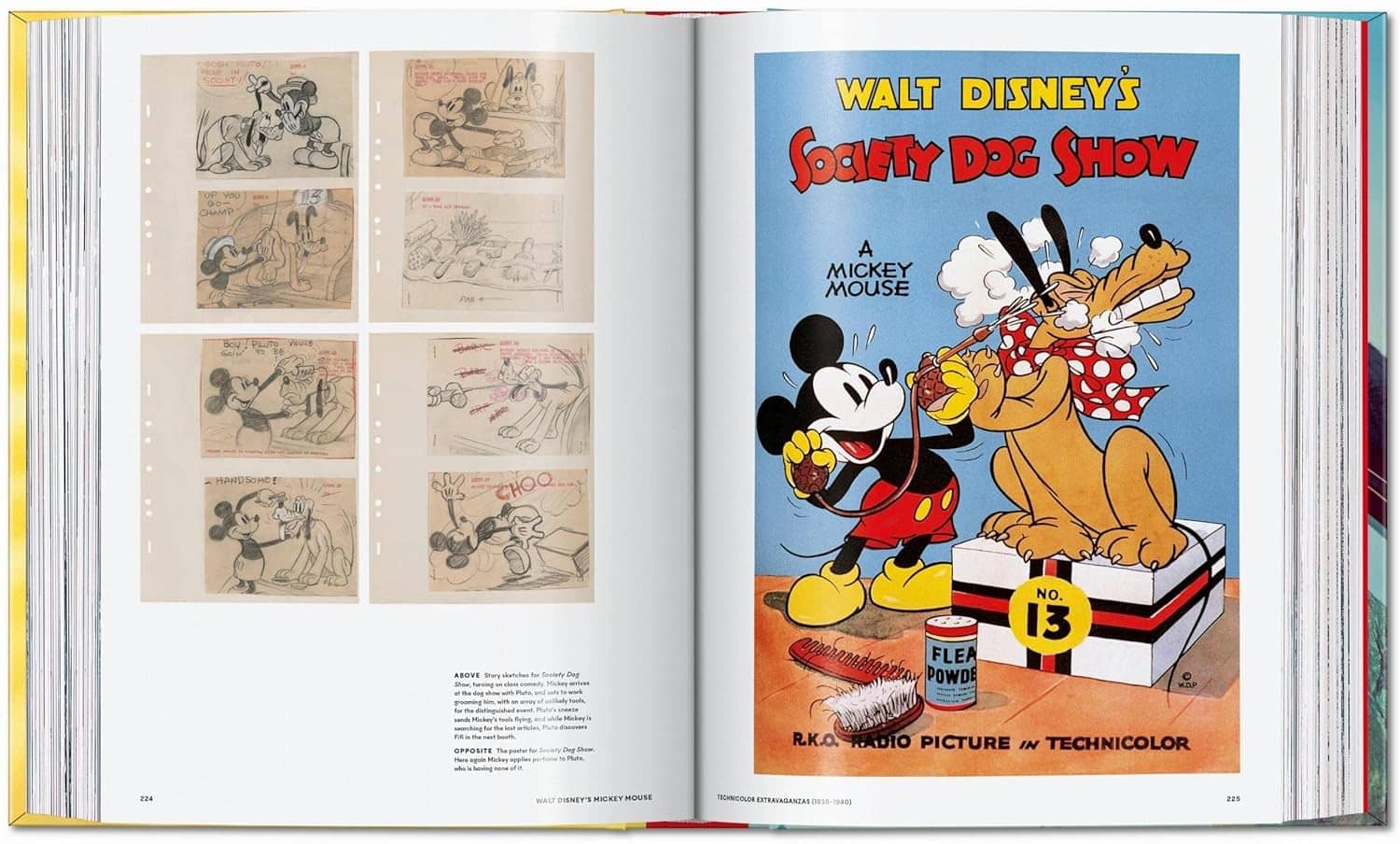 17419-walt-disney-s-mickey-mouse-the-ultimate-history-81etcsh8wnl-sl1500 (1)