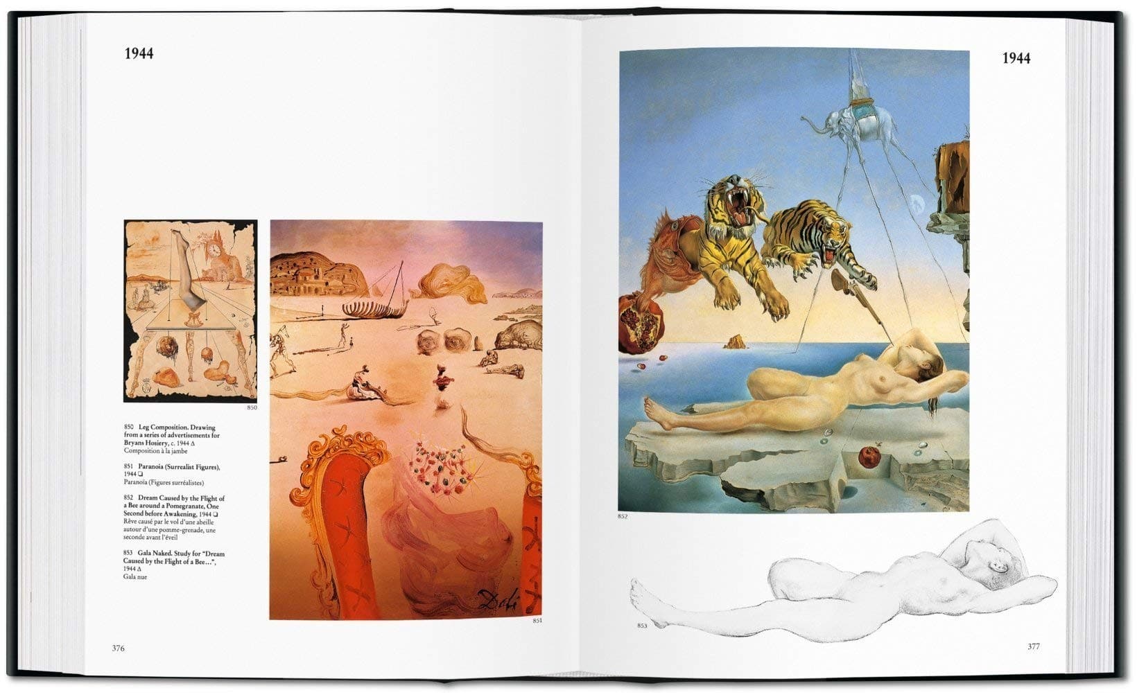 3512-dali-the-paintings-715xruqs8zl-jpg-715xruqs8zl