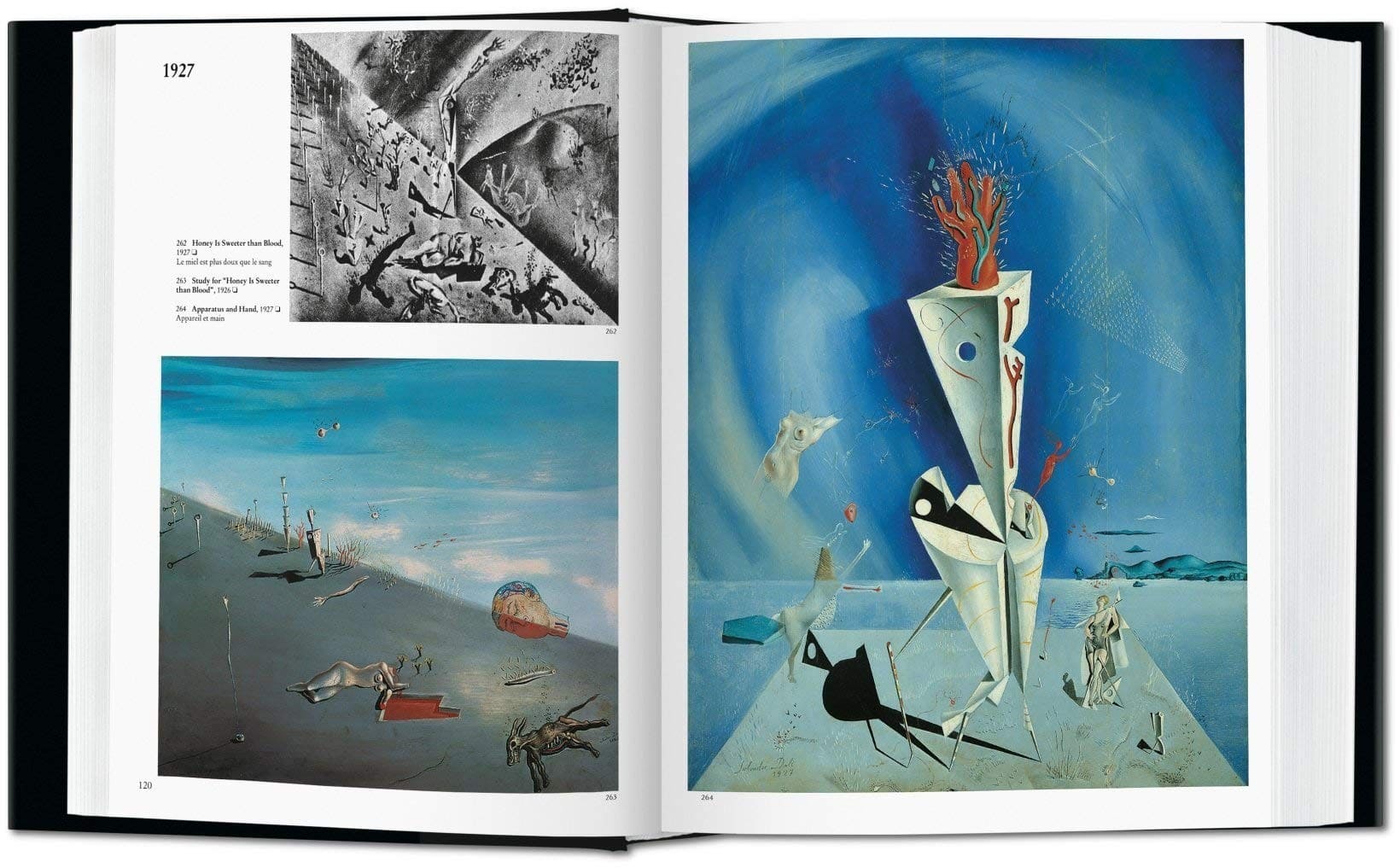 3513-dali-the-paintings-719l7jlxoul-jpg-719l7jlxoul