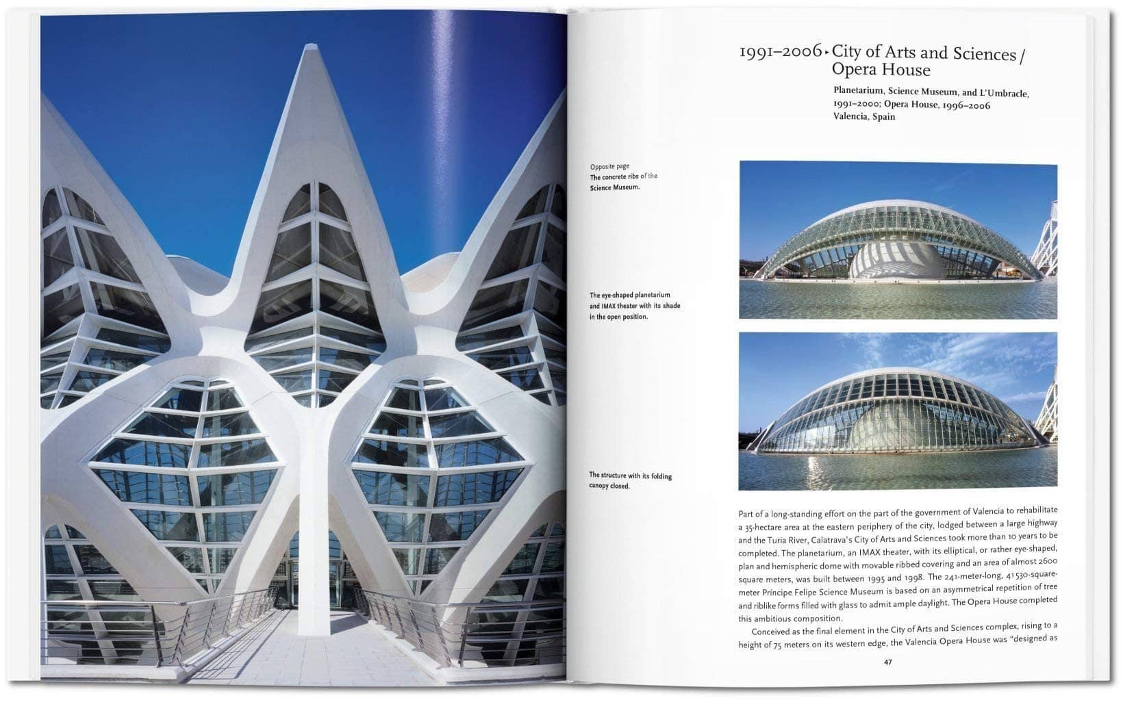 3759-calatrava-71kqmb3wh4l-jpg-71kqmb3wh4l