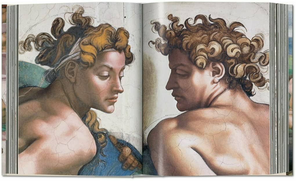 9537-michelangelo-the-complete-works-paintings-sculptures-architecture-61daleymjul-jpg-61daleymjul