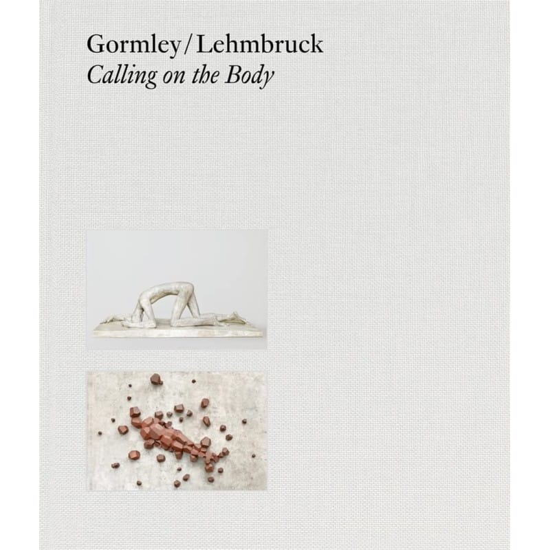 15520-gormley-lehmbruck-calling-on-the-body-61umz9yxvpl.jpg