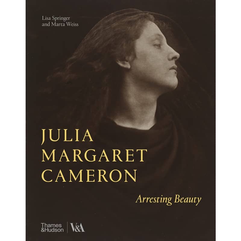 15619-julia-margaret-cameron-arresting-beauty-71d-edtpml.jpg